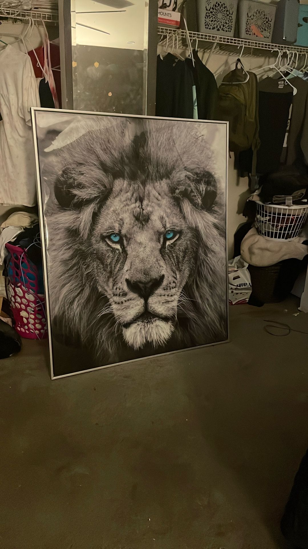 Brand New Lion Pitcher I Paid 50 Forit