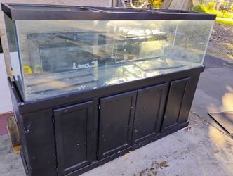 Fish Tank 125g