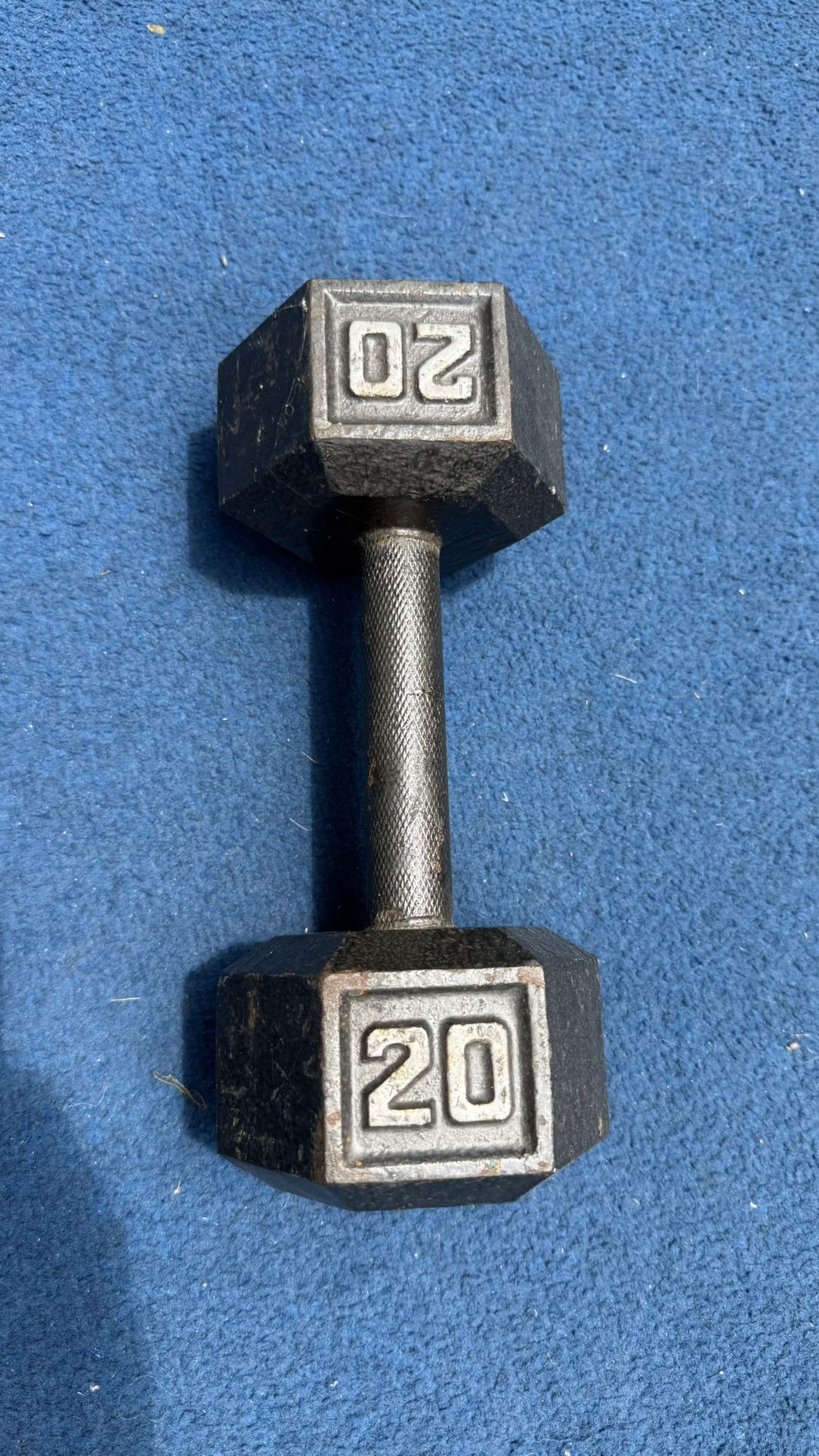 20 lbs dumbbell
