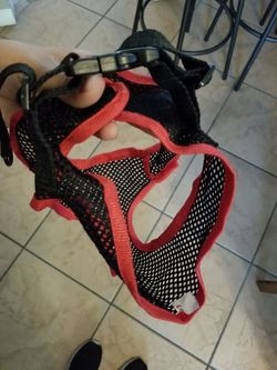 Small pet harness
