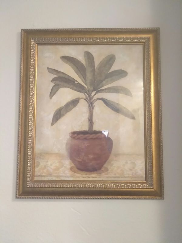 Palm Tree Kitchen Decor For In Tampa Fl Offerup