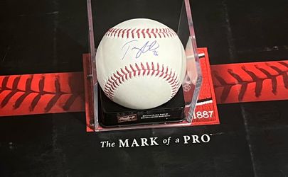 Tommy Edman St Louis Cardinals Los Angeles Dodgers Autographed Baseball