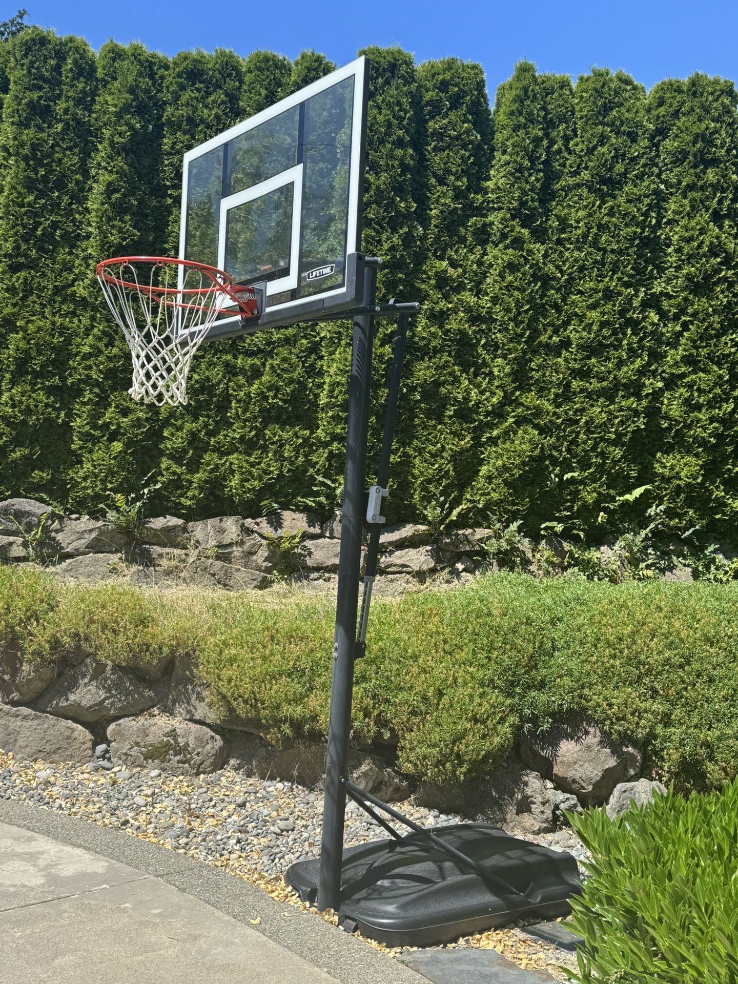 Lifetime 10ft portable Basketball Hoop