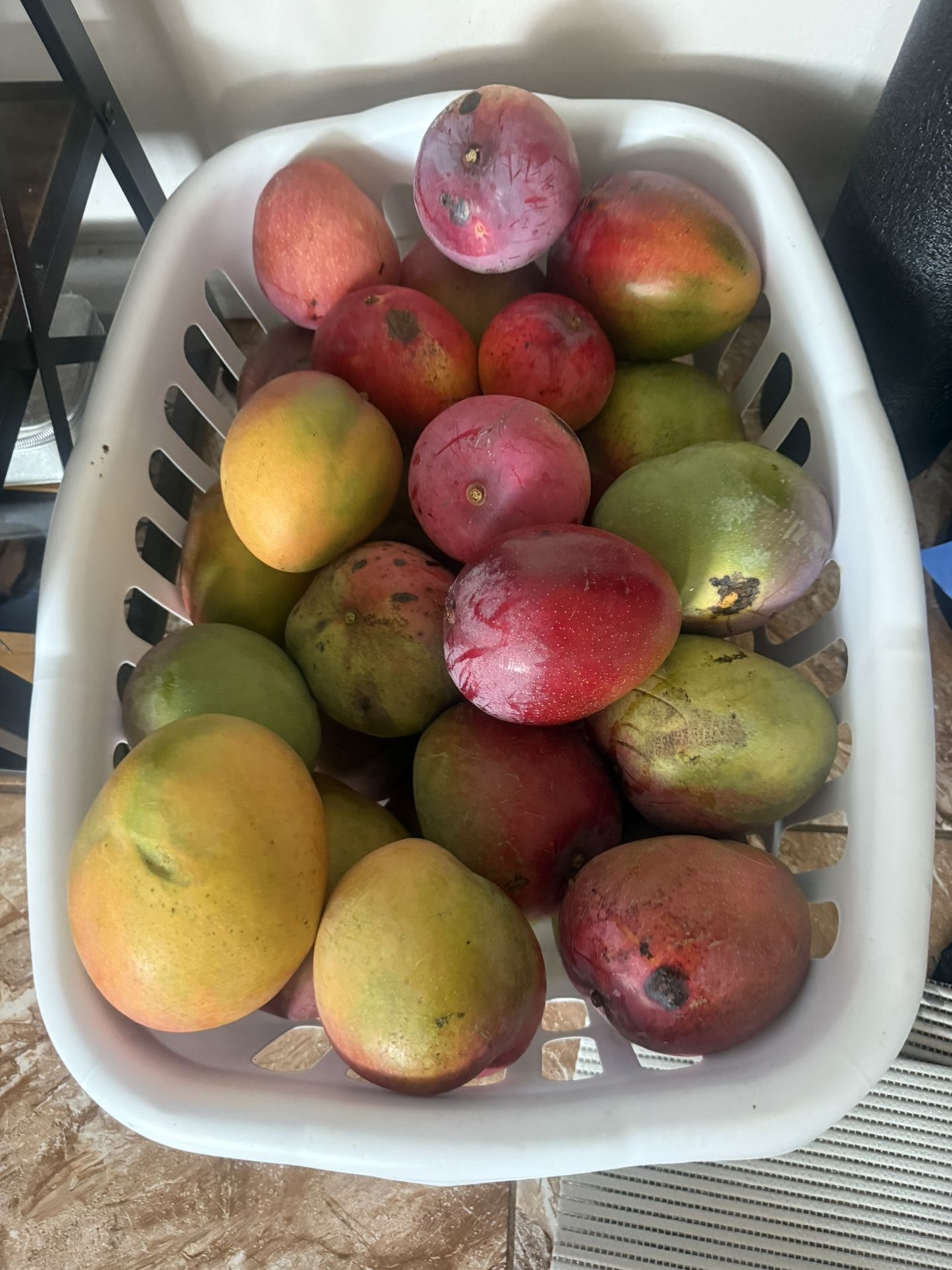 Sweet Organic Mangos