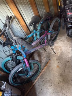 Bicicletas