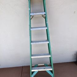 6 Foot Ladder  Price Reduced!