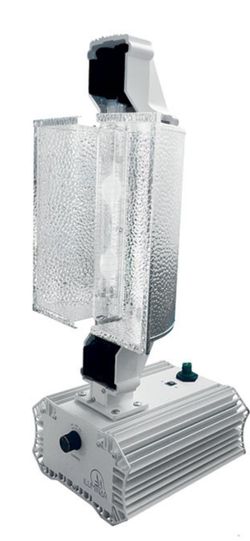 Gavita HPS 1000 DE grow lights