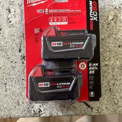 Milwaukee Battery Pack 
