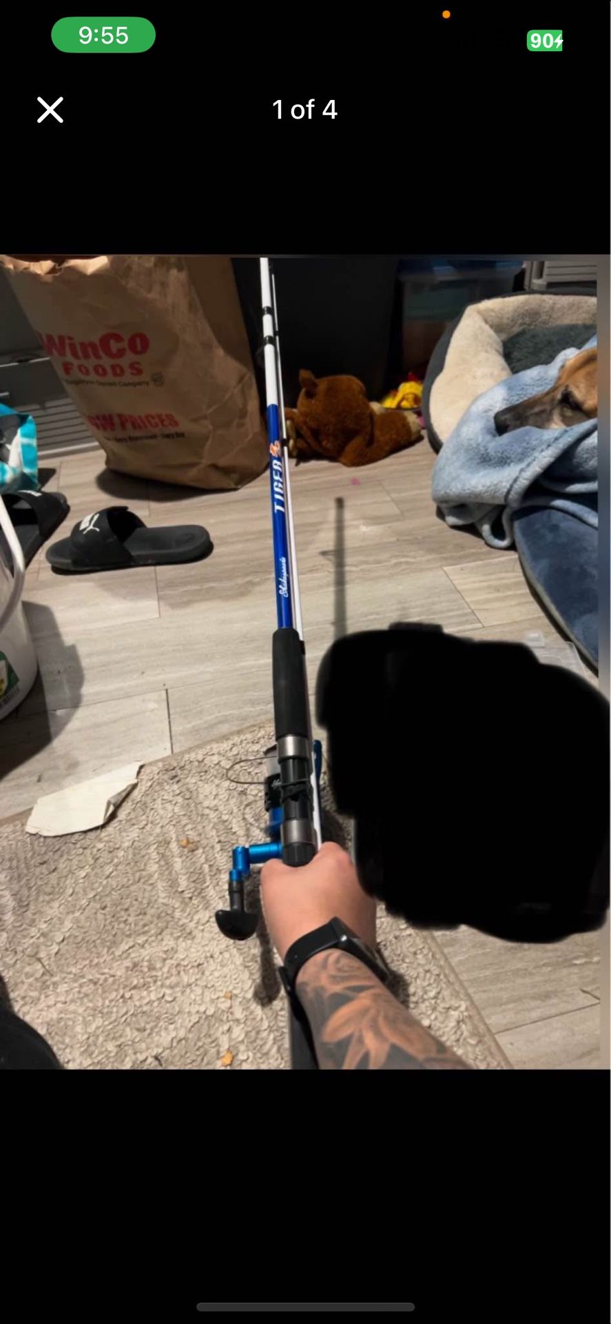 Fishing Pole NEW Shakespeare Tiger