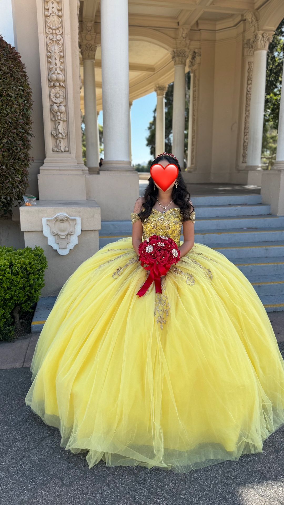 Quinceañera dress