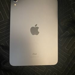 iPad Mini 6 (purple)