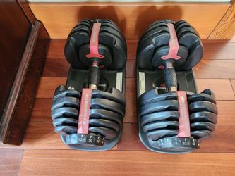 Bowflex Selecttech 552 Adjustable Dumbbells