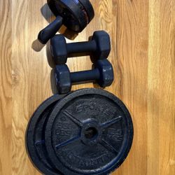 Discos de Hierro 35 lb + Mancuernas + Ab Roller