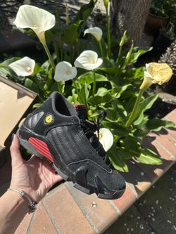 Jordan 14s