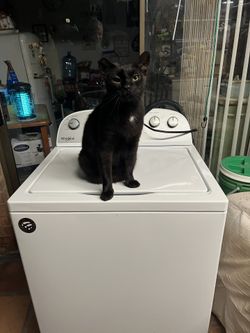 Whirlpool Top loader