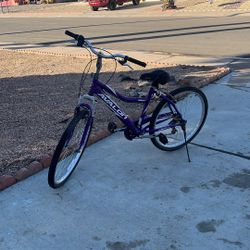 Purple Bike 