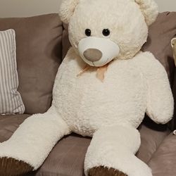 Teddy 🧸 Bear 25DOLLARS 