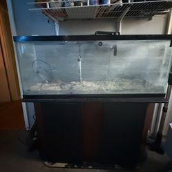 55 Gallon fish Tank + Stand 
