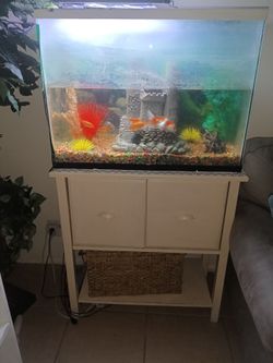 Fish tank with white table