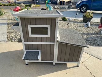 Cat House