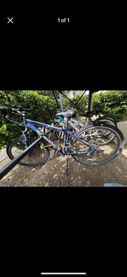 Bike, Adult Size, Blue