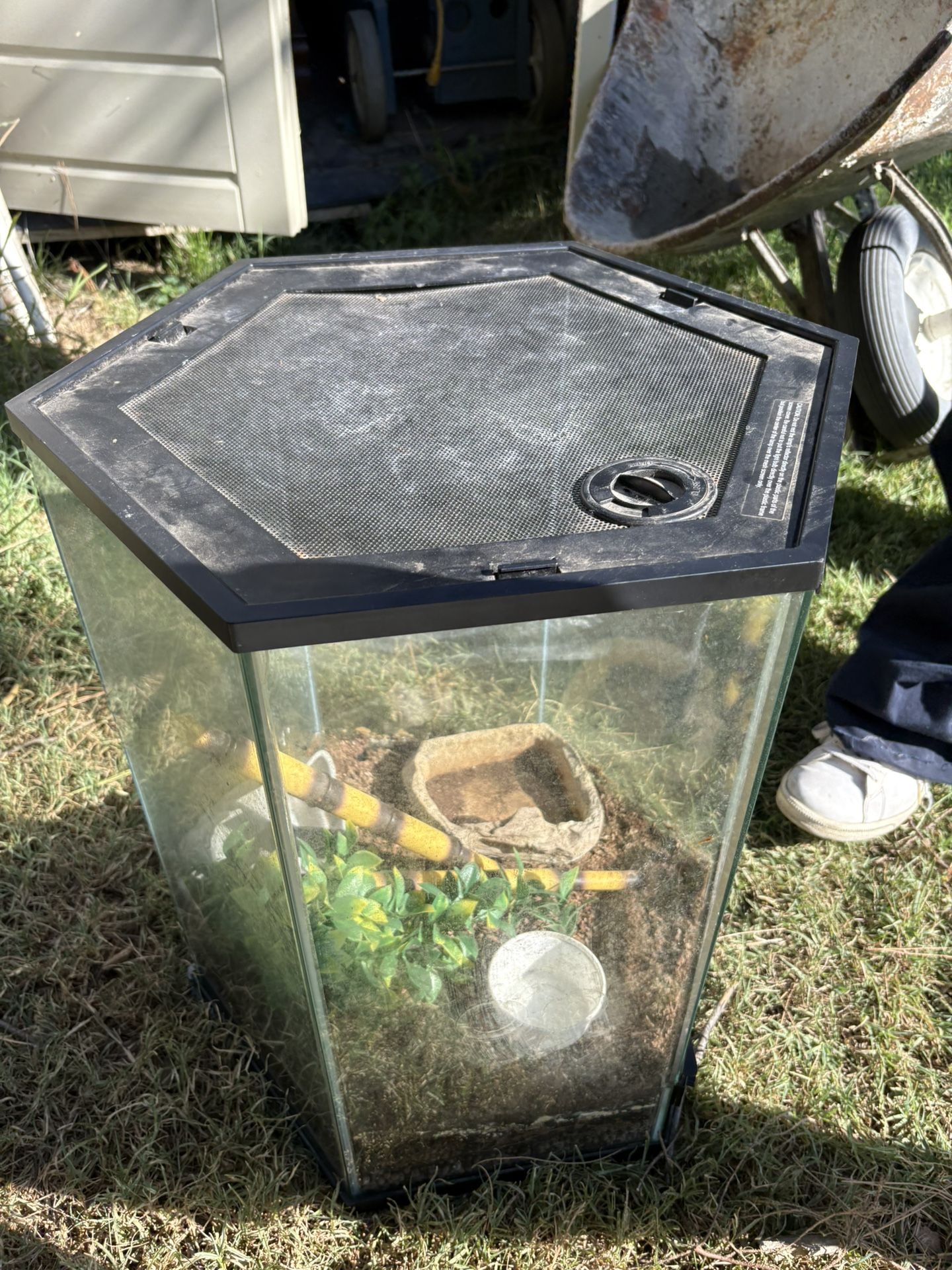 Hexagon Glass Reptile Tank