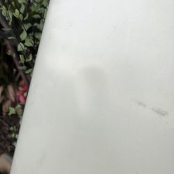 Surf Board