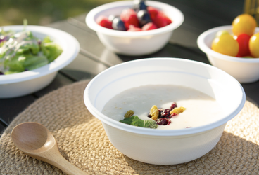Bulk Compostable Bowls, Lids & Spoons (16oz). 5,000 Units. Local Pickup (Berkeley)