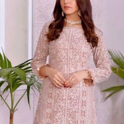 Chiffon Embroidered Dress 