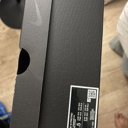 Kobe 6 protro reverse grinch Sz. 11.5