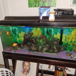 Fish Aquarium And Stand