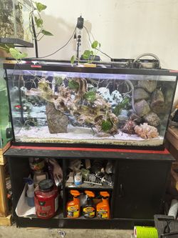 Fish Tank 60 Gallon