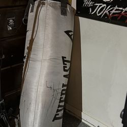 punching bag