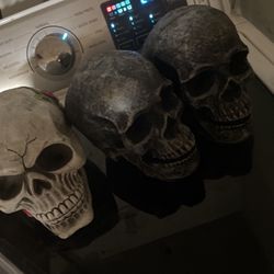 skulls 