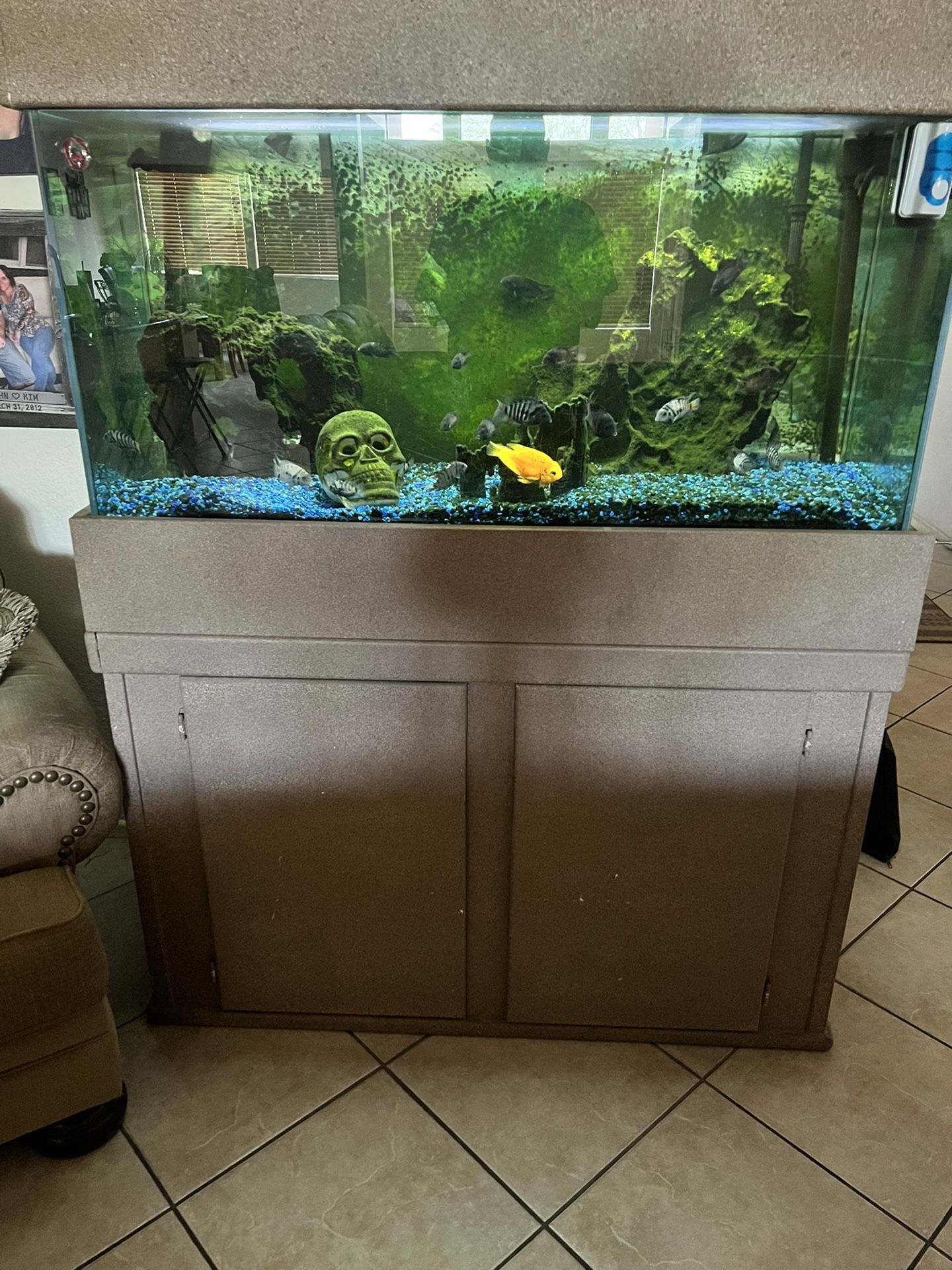 Fish Tank & Stand