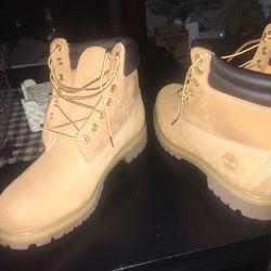 Timberlands Boots Brand New 10.5