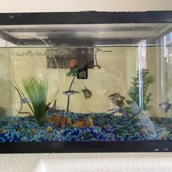 Fish Tank +fishes +filter+light