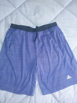 Men's shorts adidas