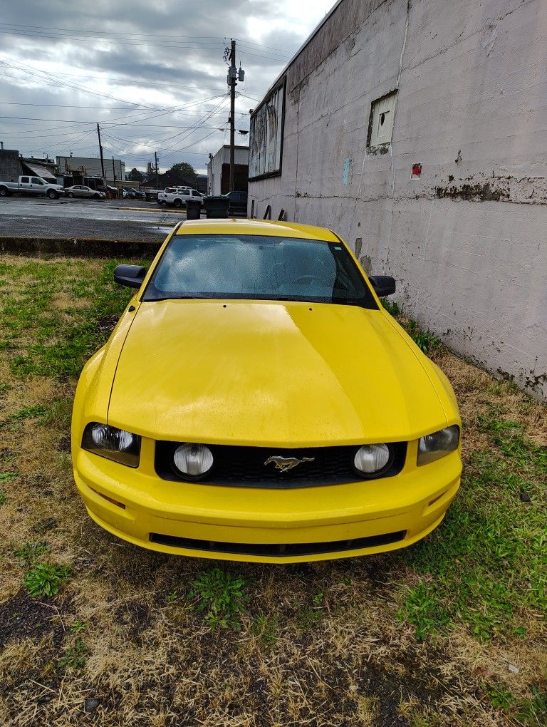 2005 Mustang