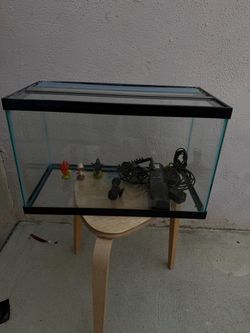 10 gallon tank
