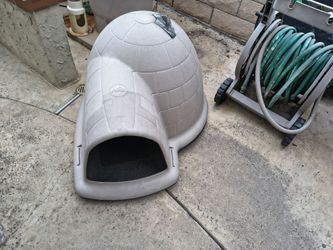 Indigo Dog house