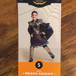Brave Knight Costume 