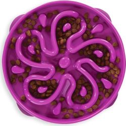 Outward Hound Large Slow Feeder Bowl, Puzzle Maze for Fast Eaters, Medium to Large Dogs, Helps Prevent Bloat