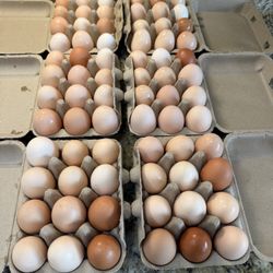 fresh eggs 