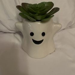 Artificial Ghost Plant