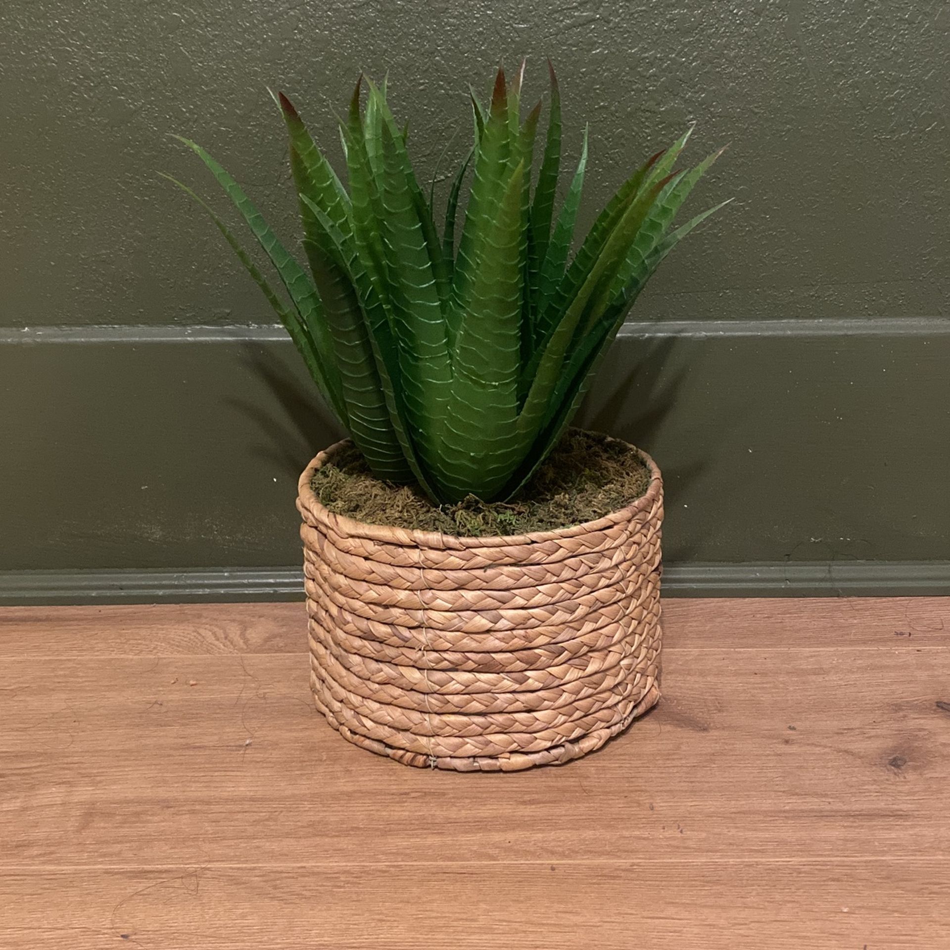 Fake Plant