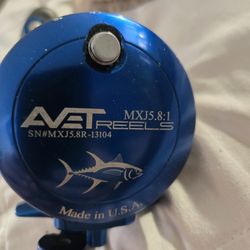 Avet MXj 15.8:1 Reel