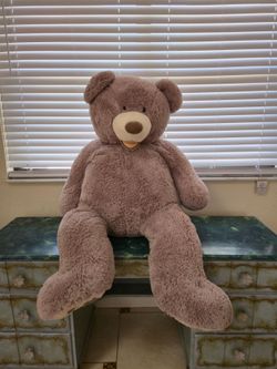 Very large teddy bear