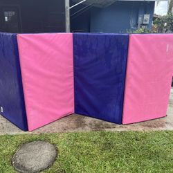 Gymnastic Mat Padded Mat 10x4