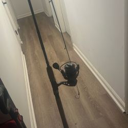 fishing rod